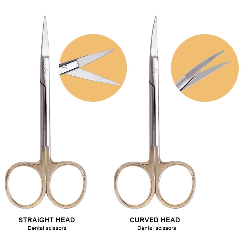 Stainless Steel Medical Dental - Medical Scissors ulasan dan harga