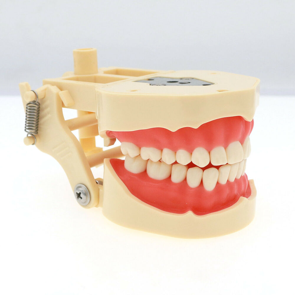 Frasaco ANA-4 Dental Restorati - Stethoscope ulasan dan harga