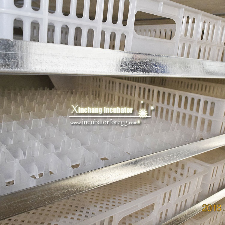 5000 Eggs   Machines for Small - Lab Incubator ulasan dan harga